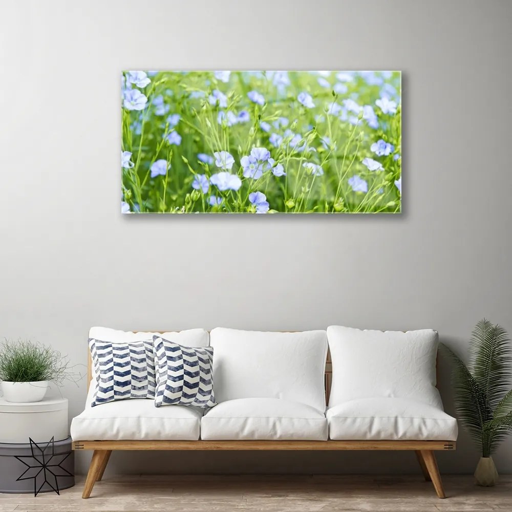 Obraz na skle Kvety tráva rastlina príroda 120x60 cm