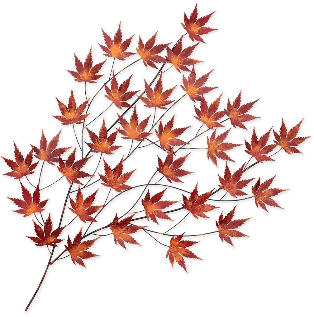 Acer Palmatum