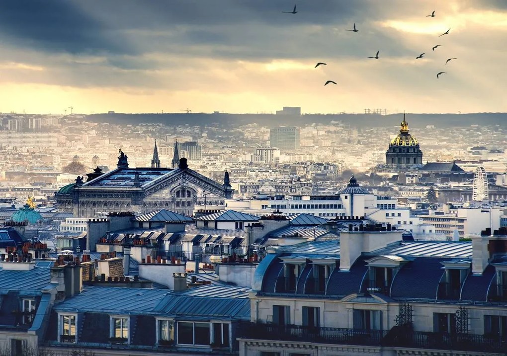 Fototapeta - Paríž z vtáčej perspektívy (152,5x104 cm)