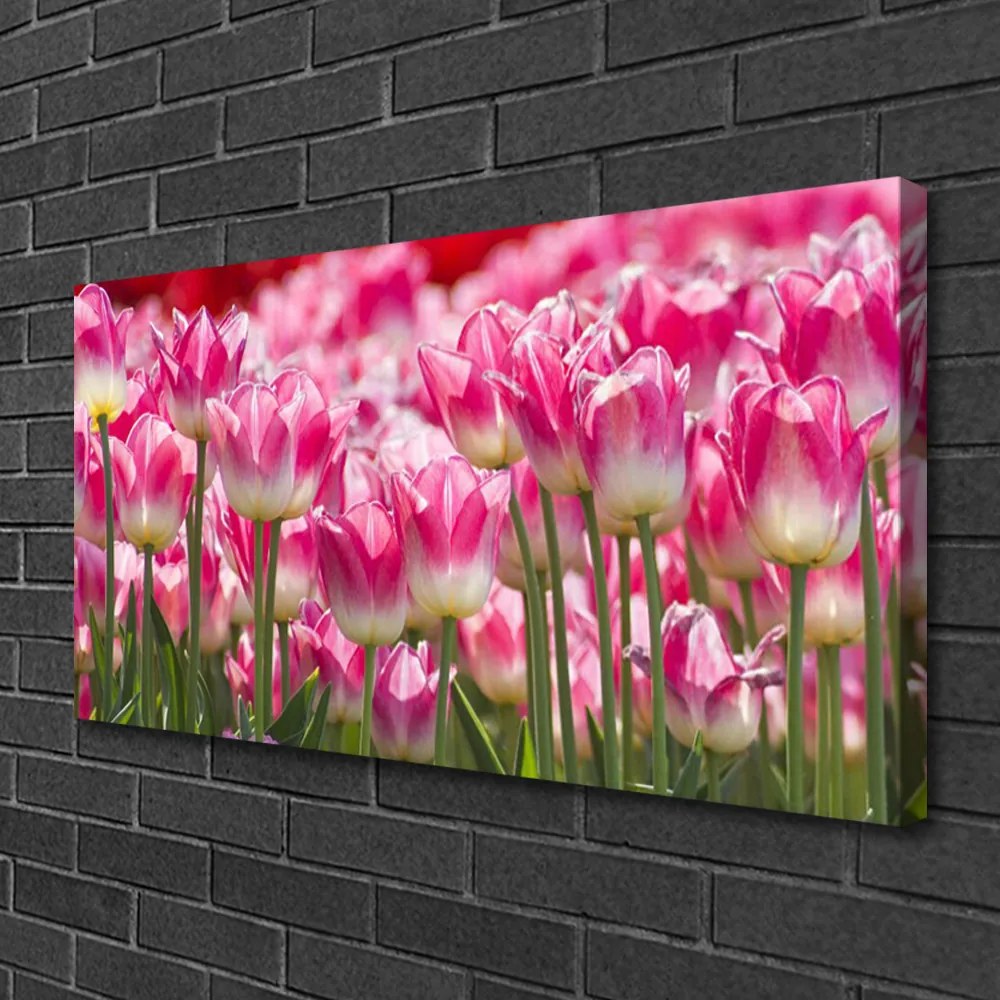 Obraz Canvas Tulipány kvety príroda 125x50 cm