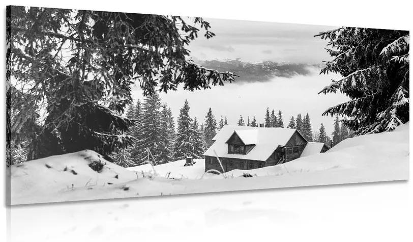 Obraz drevený domček pri zasnežených boroviciach v čiernobielom prevedení