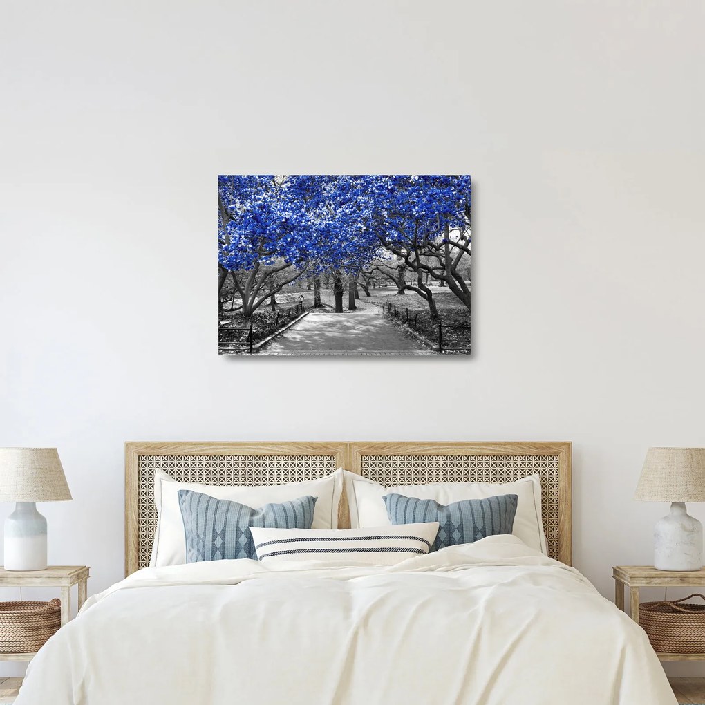 Obrázok - Modré stromy, Central Park, New York (70x50 cm)