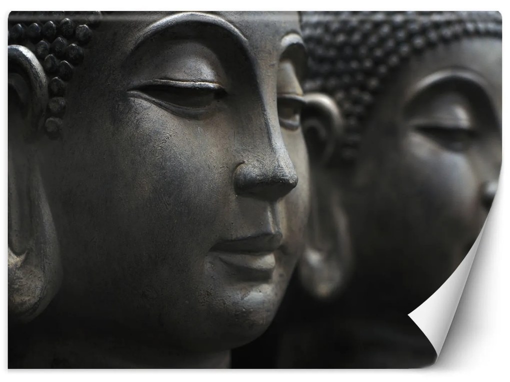 Gario Fototapeta Meditujúci Budha Materiál: Vliesová, Rozmery: 400 x 280 cm