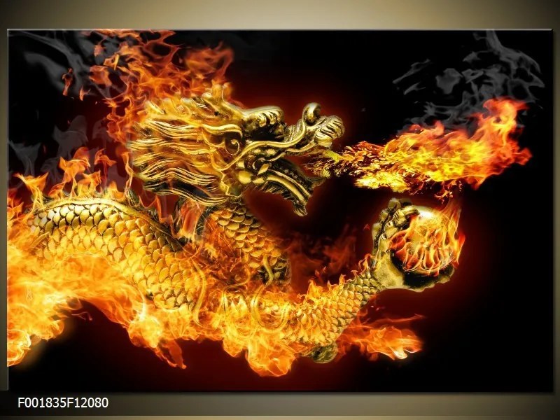 Obraz na plátne Čínsky ohnivý drak, Obdĺžnik 120x80cm 87,92 €