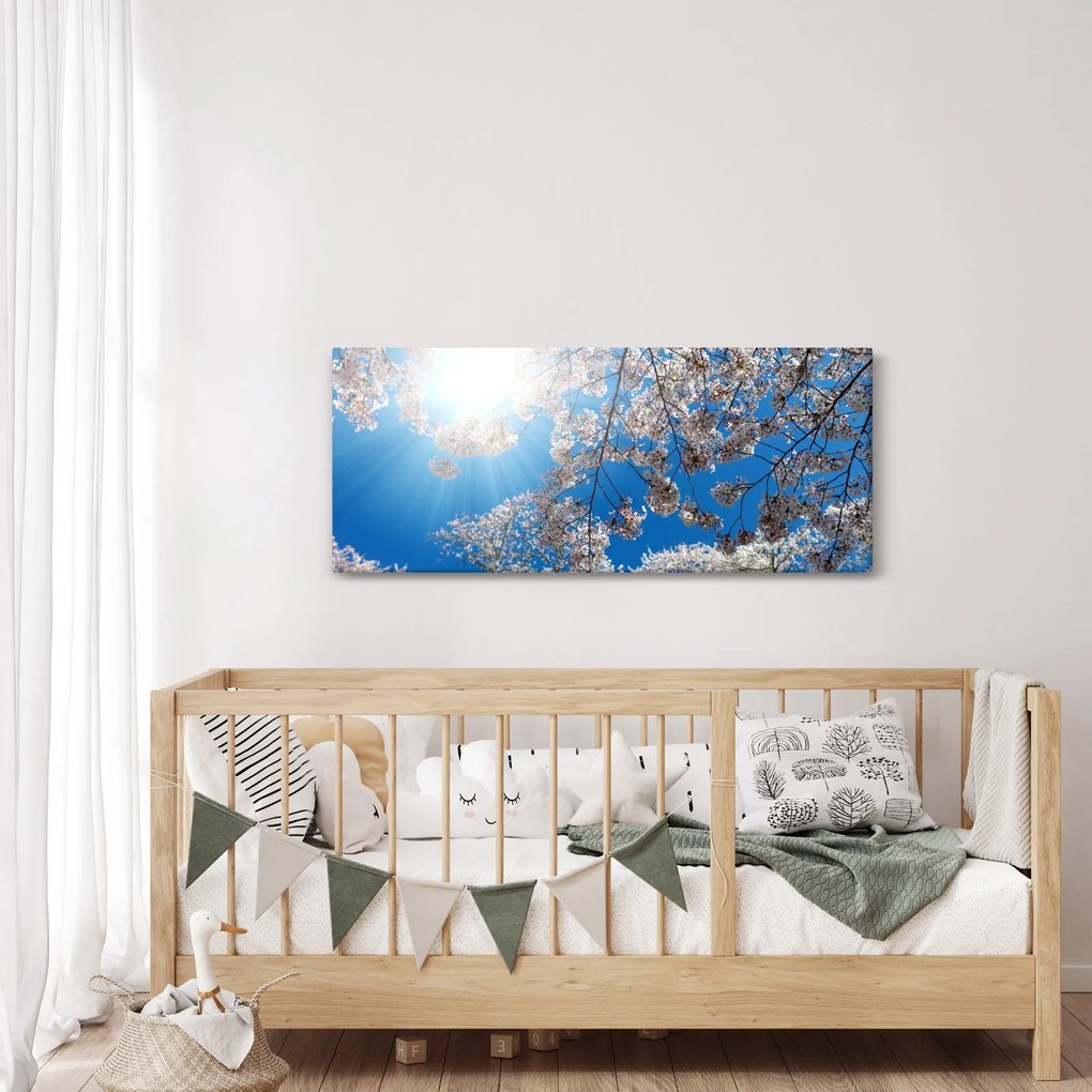 Obraz - Čerešňové kvety (120x50 cm)