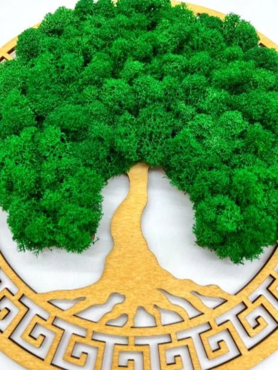 Strom na stenu z machu Olympus 30 cm