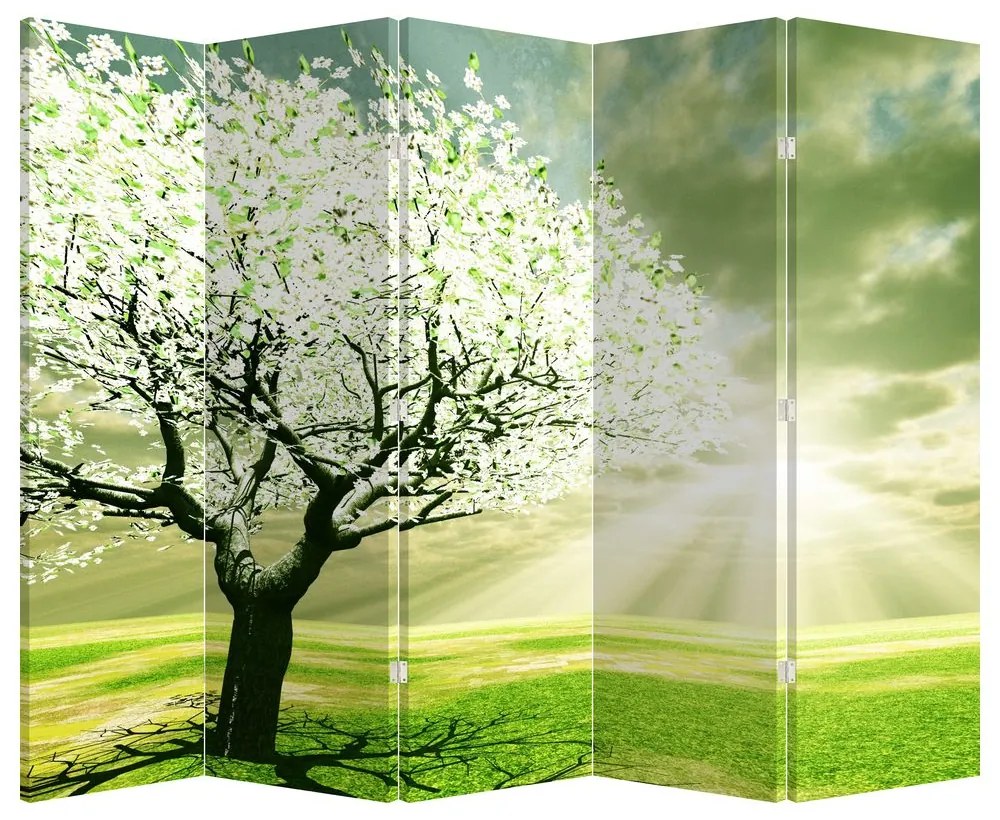 Paraván - Strom na lúke (210x170 cm)