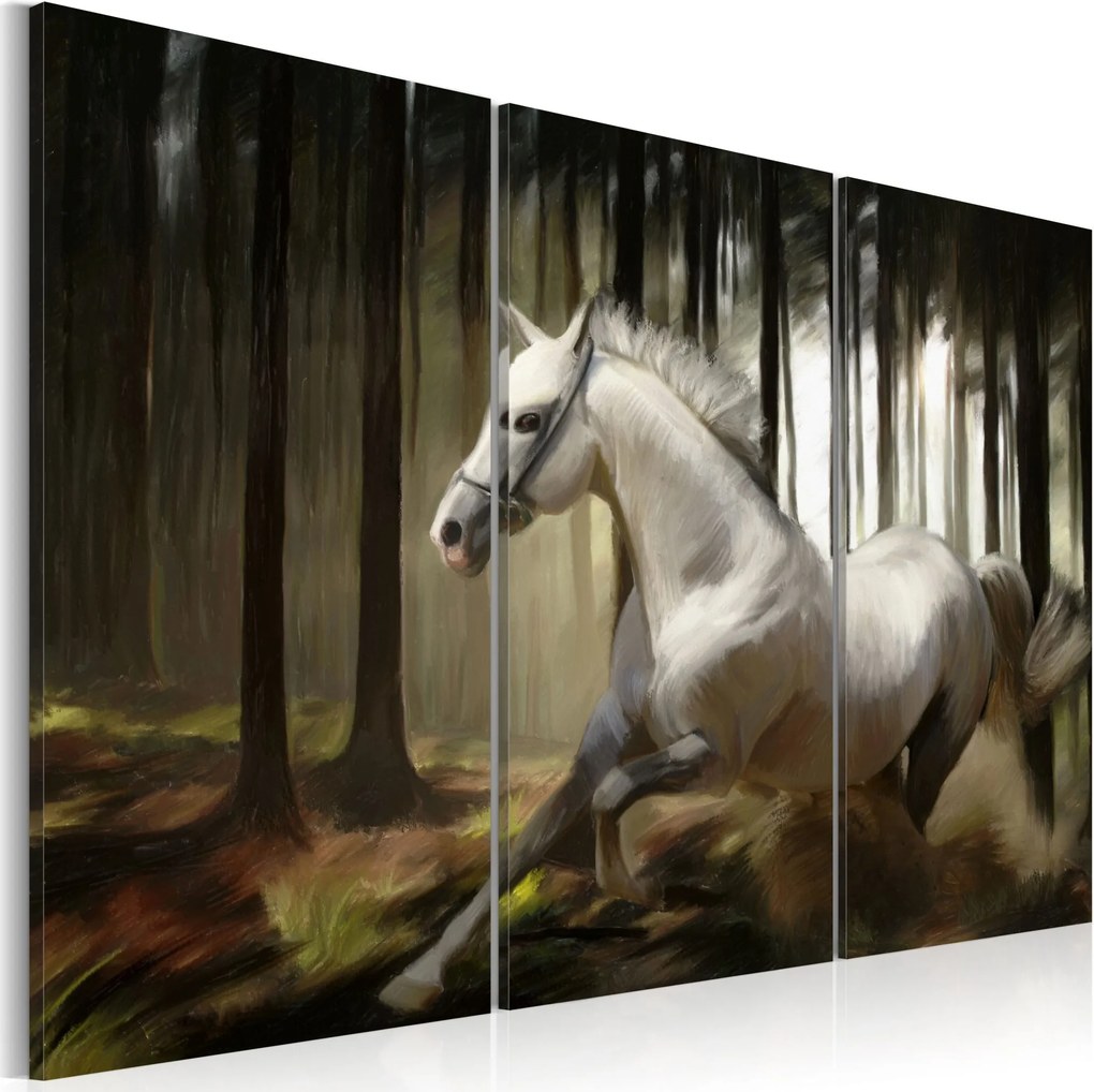 Obraz - A white horse in the midst of the trees 60x40