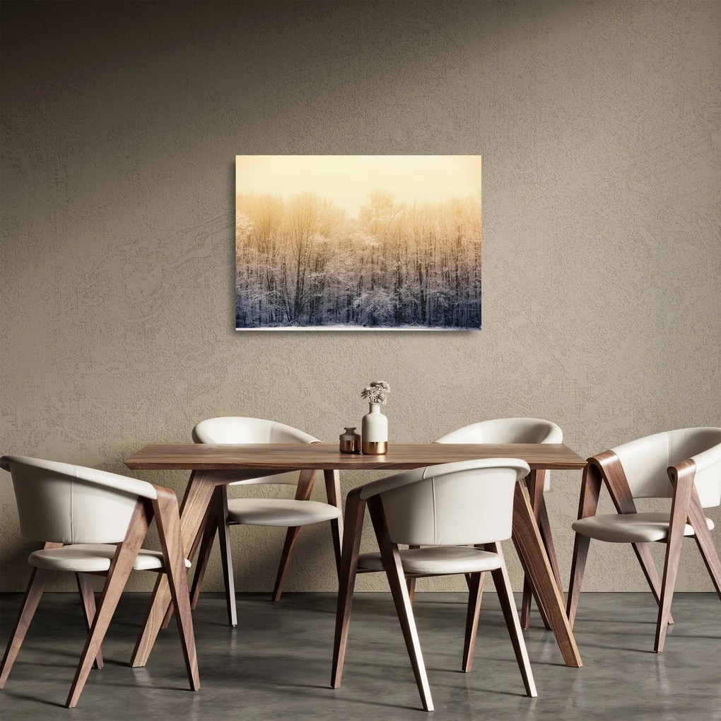 Sklenený obraz mrazivého lesa (70x50 cm)