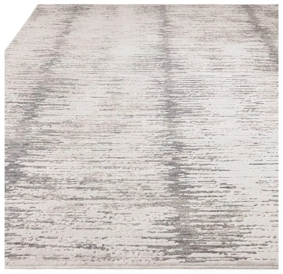 Koberec 160x240 cm Anders Grey – Asiatic Carpets