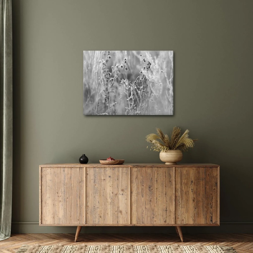 Obraz - Divoká lúka (70x50 cm)