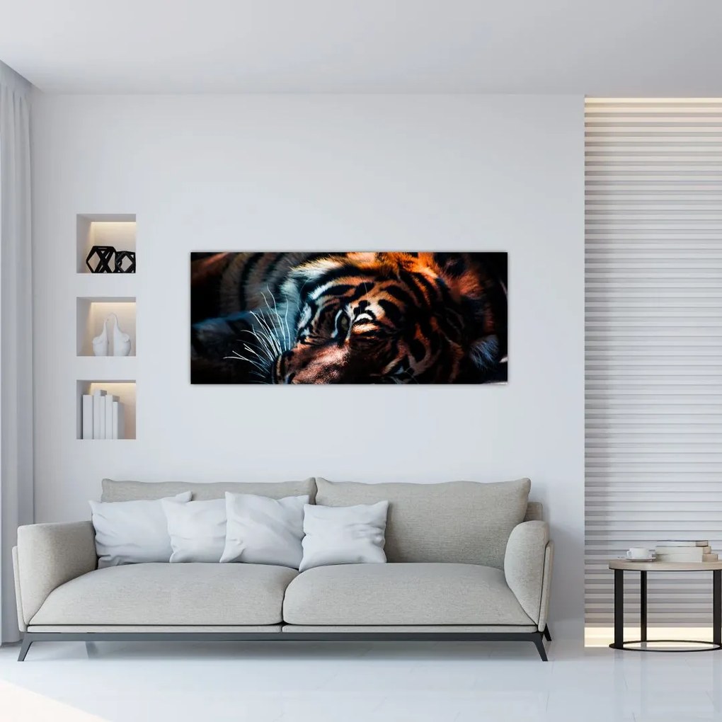 Obraz ležiaceho tigra (120x50 cm)