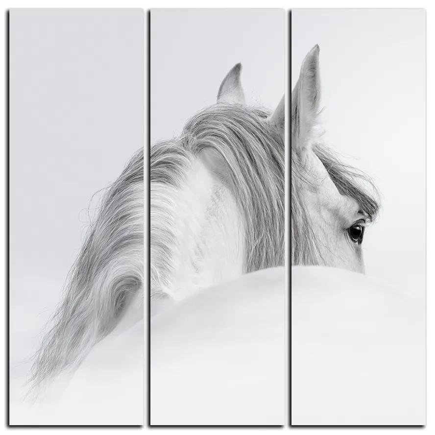 Obraz na plátne - Andalúzsky kôň v hmle - štvorec 3219B (105x105 cm)