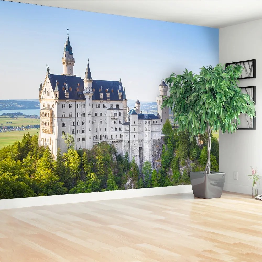 Fototapeta Vliesová Neuschwanstein 104x70 cm