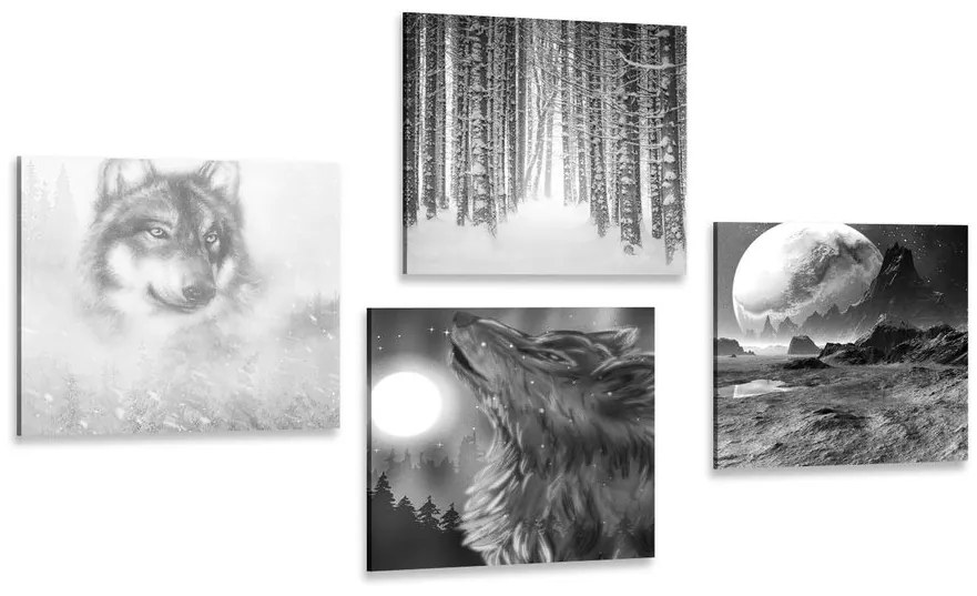 Set obrazov tajuplný vlk v čiernobielom prevedení