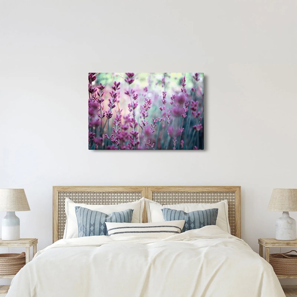 Obraz - Levanduľa (90x60 cm)