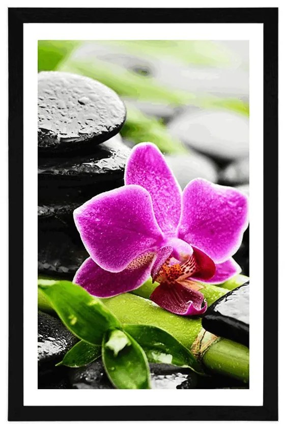 Plagát s paspartou wellness zátišie s fialovou orchideou - 40x60 silver