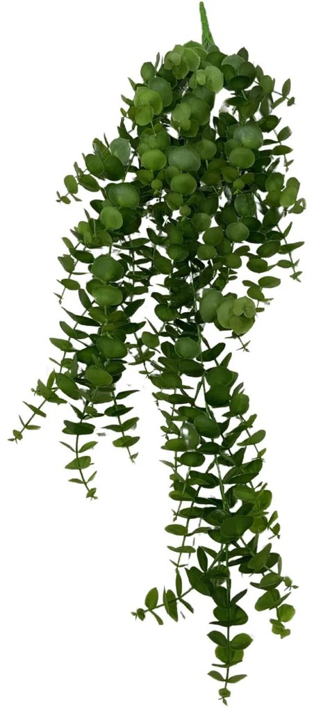 Zelený visiaci eukalyptus 81cm