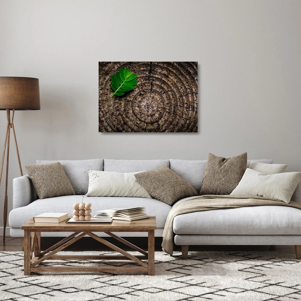 Sklenený obraz listu na kmeni stromu (70x50 cm)