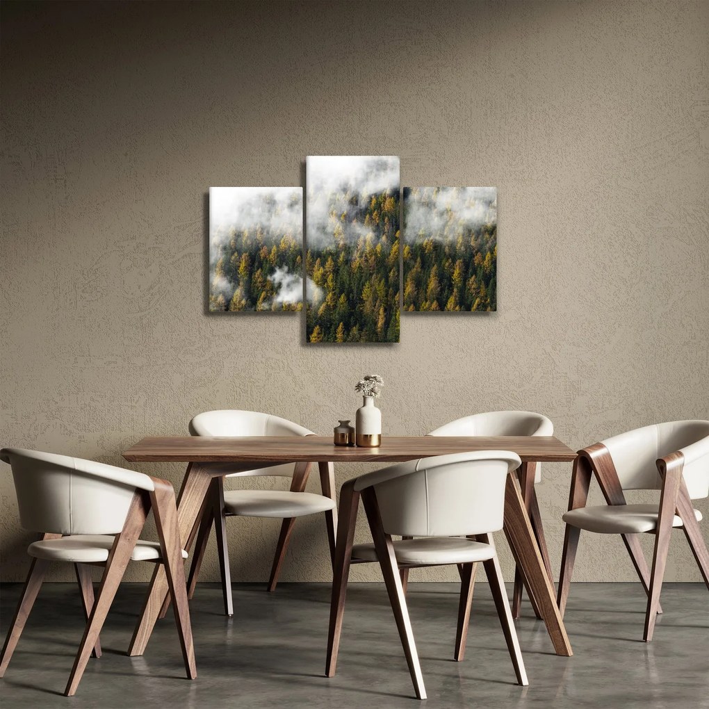 Obraz lesa v mrakoch (90x60 cm)