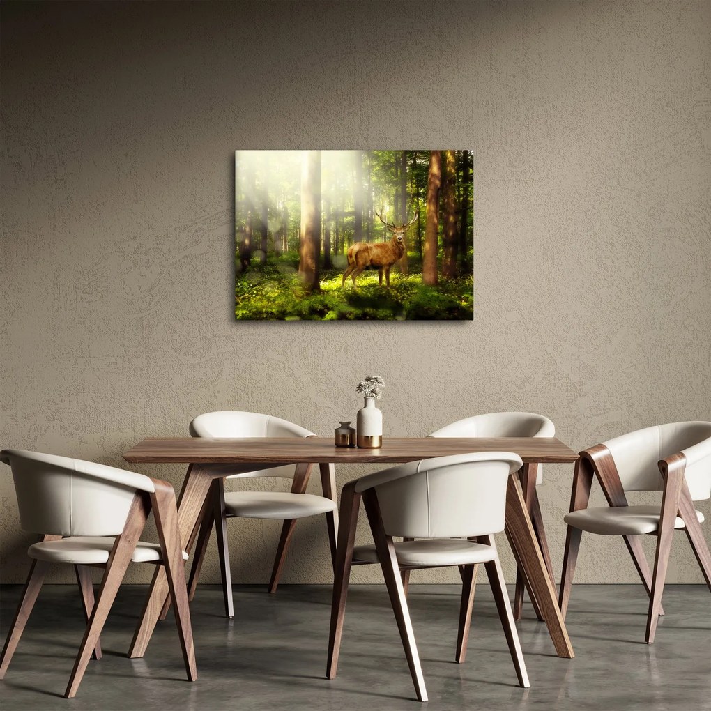 Obraz jeleňa v lese (70x50 cm)