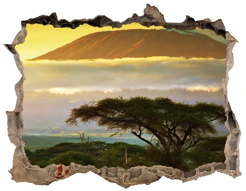 Díra 3D ve zdi nálepka Kilimanjaro keňa nd-k-49494611