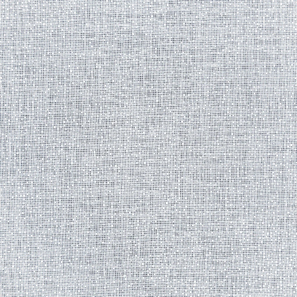 ZÁCLONA NA KRÚŽKOCH LENA 350X250 CM BIELA