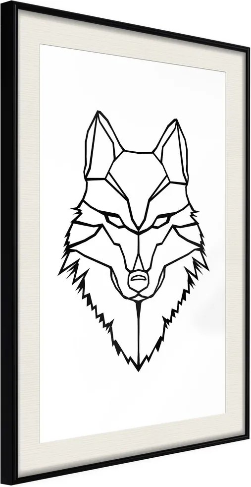 Plagát vlk - Wolf Look