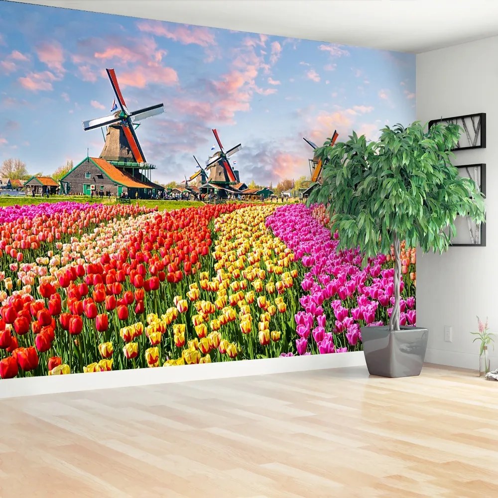 Fototapeta Vliesová Tulipány veterné mlyny 416x254 cm