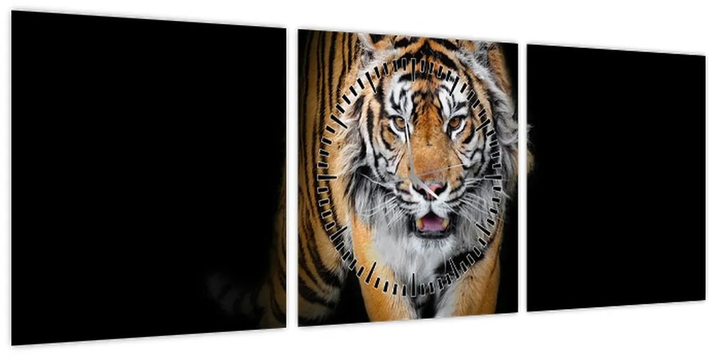 Obraz - Tiger (s hodinami) (90x30 cm)