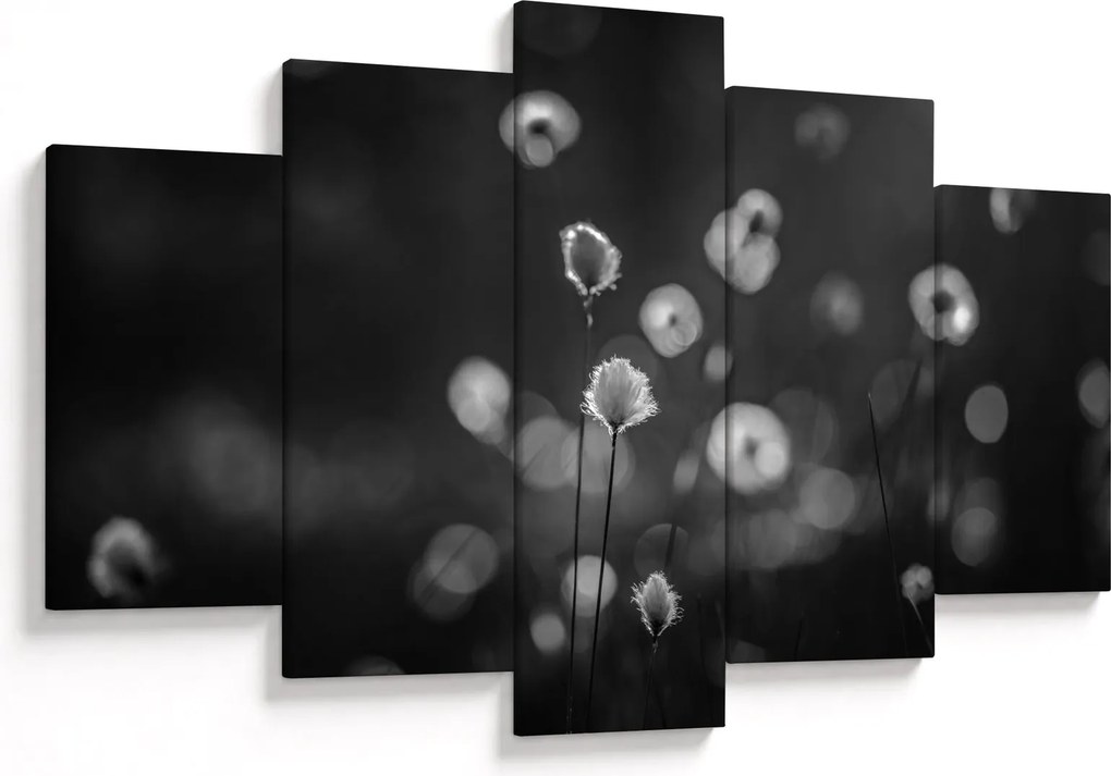Obraz - Cottongrass na lúke (150x105 cm)