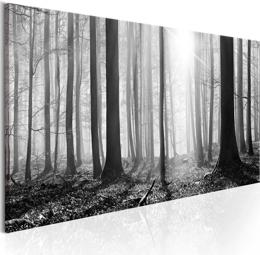 Obraz - Black and White Forest 150x50