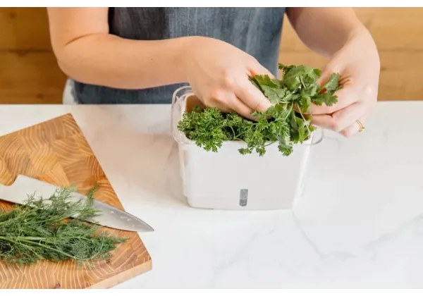 Cole&Mason - Nádoba na uchovanie rezaných byliniek