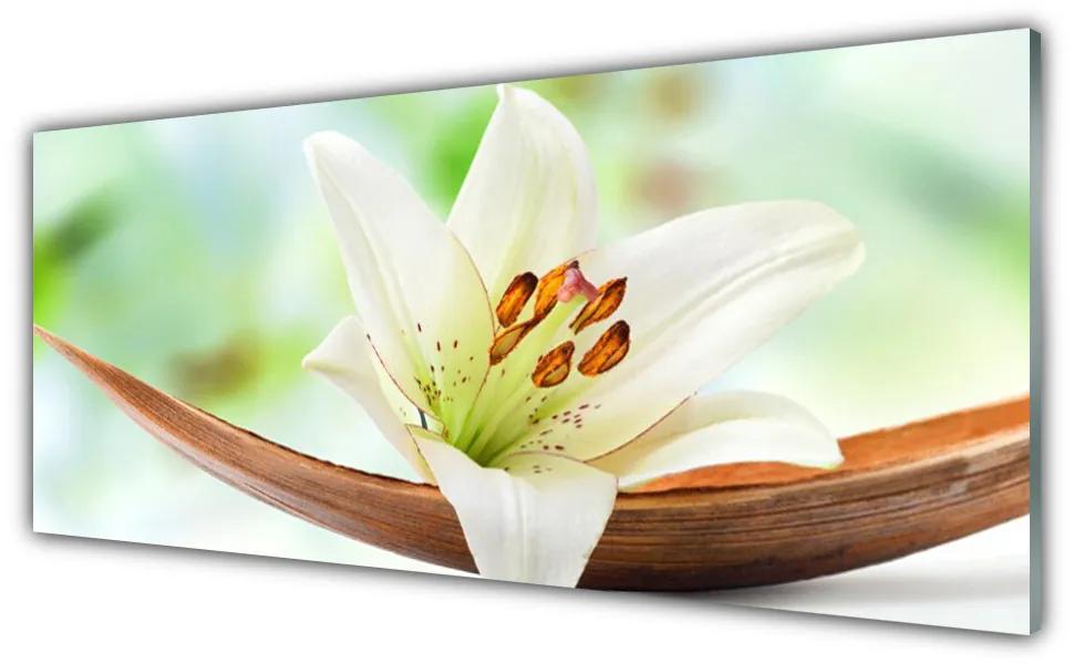 Obraz plexi Kvet rastlina príroda 125x50 cm