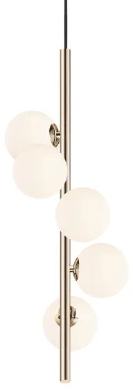 Zuma Line P0574-05E-F7AA - Luster na lanku ARCTURUS 5xG9/4W/230V zlatá