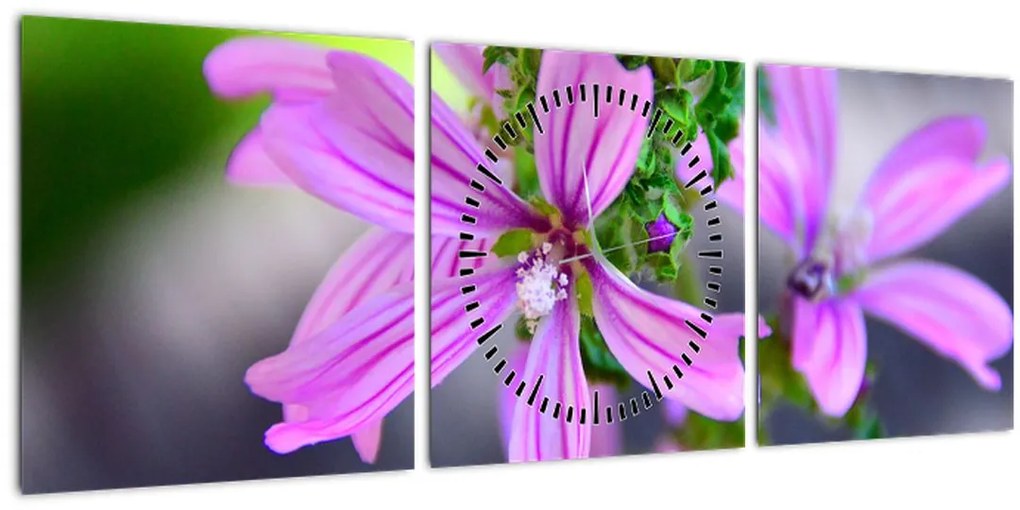 Detailný obraz kvetiny (s hodinami) (90x30 cm)