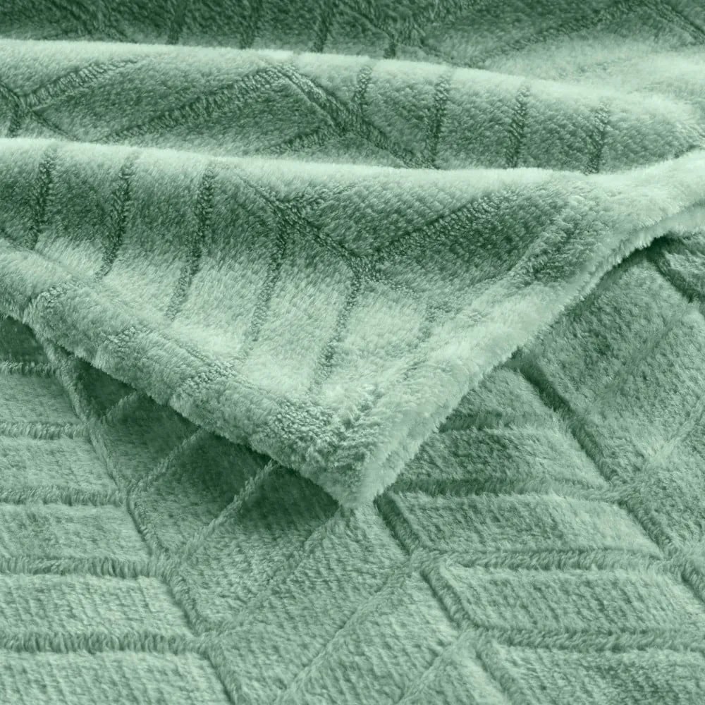 Svetlozelený pléd z mikroflanelu 180x220 cm Arya – douceur d'intérieur