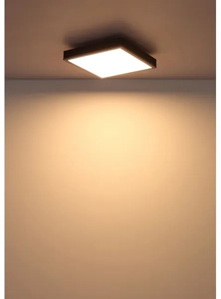 Globo 416080AD1 - LED Stropné svietidlo DORO LED/12W/230V 3000K 30x30 cm