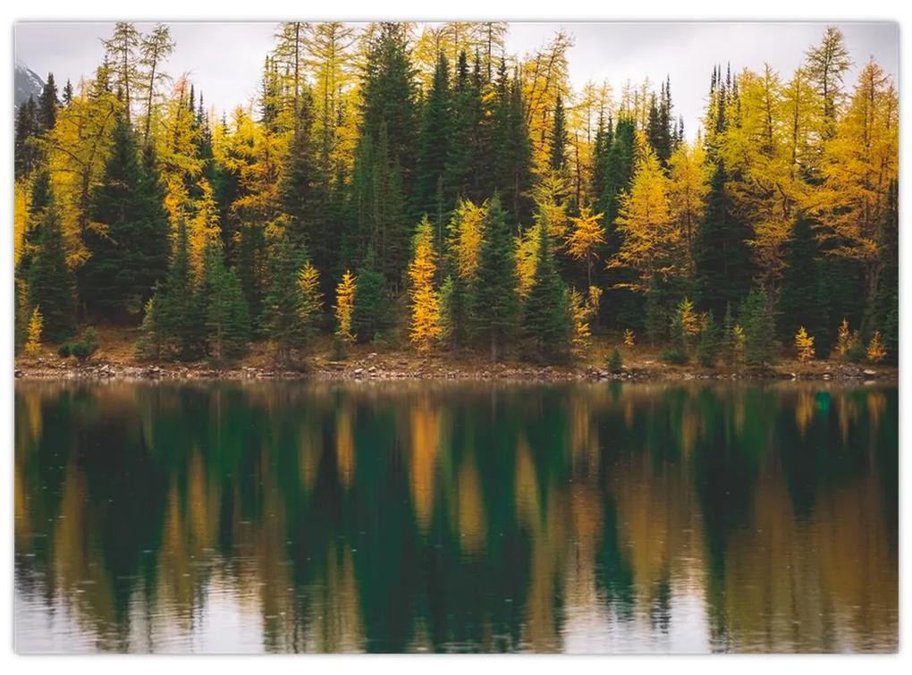 Sklenený obraz lesného jazera (70x50 cm)