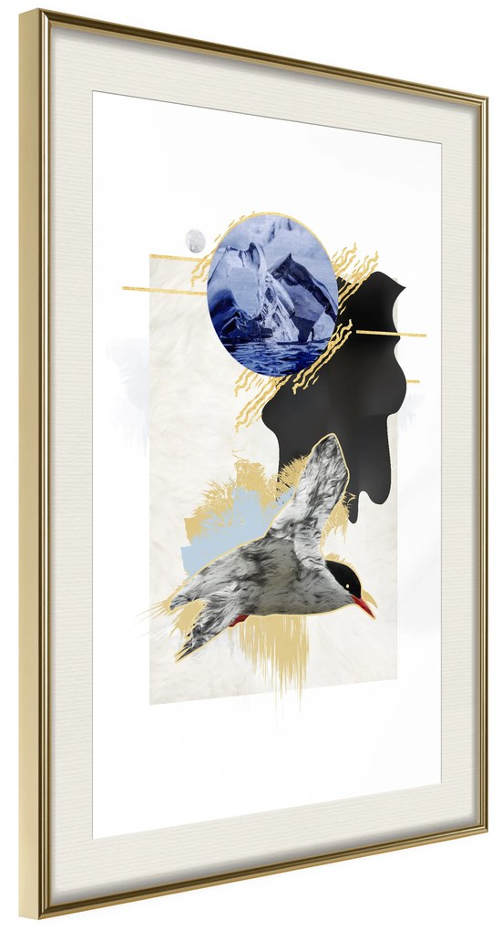 Artgeist Plagát - Antarctic Tern [Poster] Veľkosť: 40x60, Verzia: Čierny rám s passe-partout