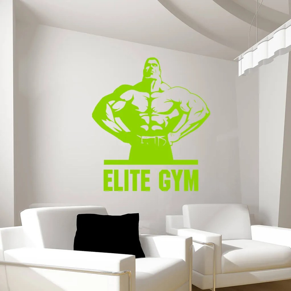 Veselá Stena Samolepka na stenu na stenu Elite Gym Farba: černá