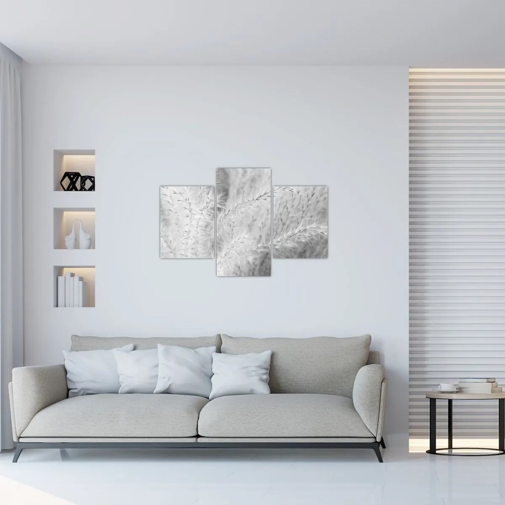 Obraz - Pampas grass N⁰1 (90x60 cm)