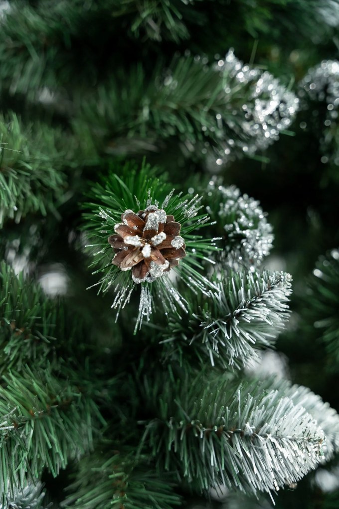 Limpol Vianočný stromček Borovica Verona Výška stromčeka: 150 cm