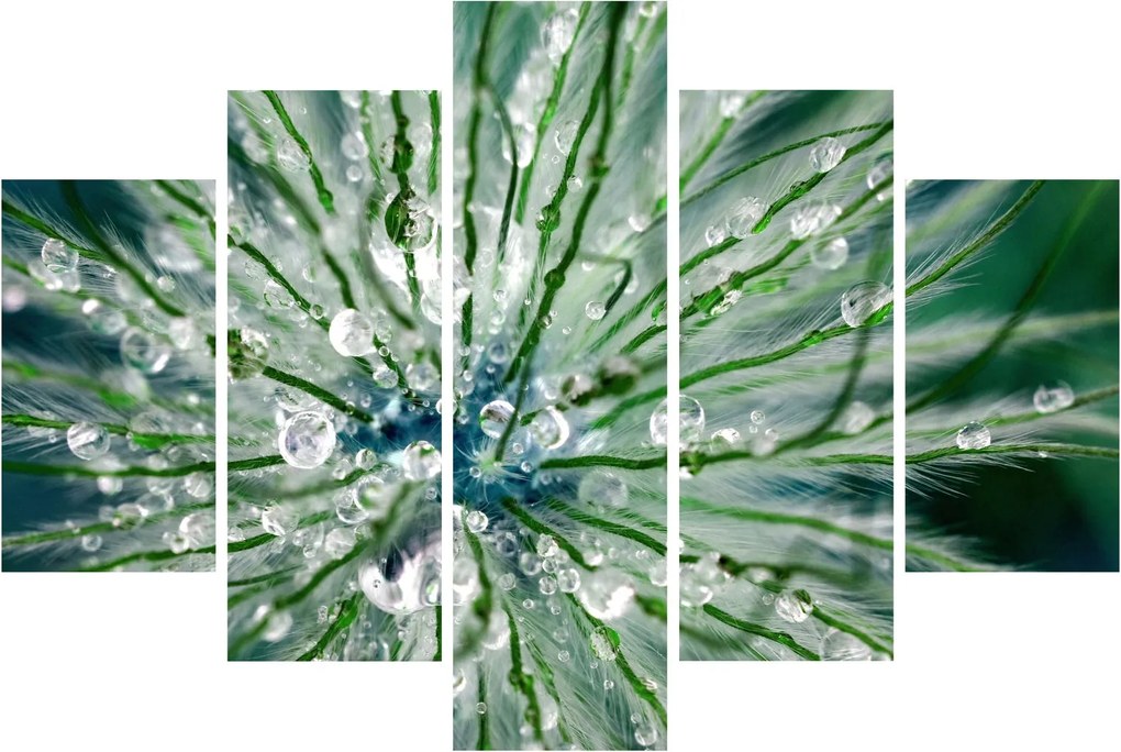 Obraz - Makro snímka kvetu (150x105 cm)
