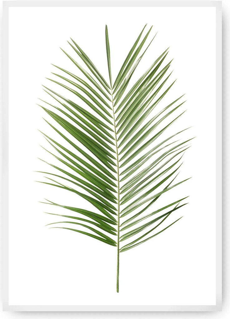 Plagát Palm Leaf Green