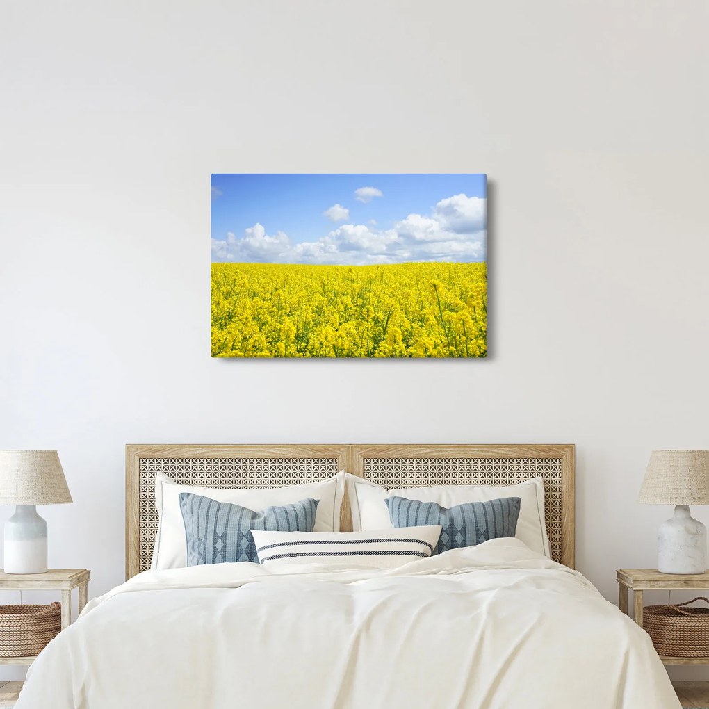 Obraz žltého poľa (90x60 cm)
