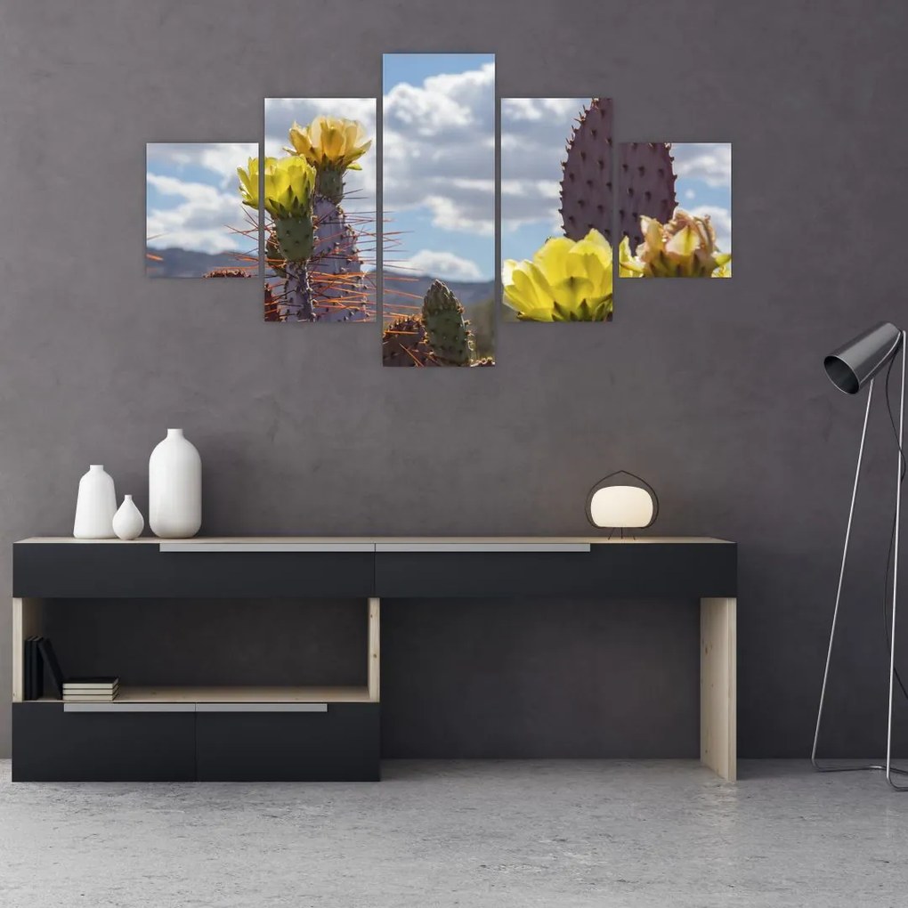 Obraz opuncie (125x70 cm), 40 ďalších rozmerov