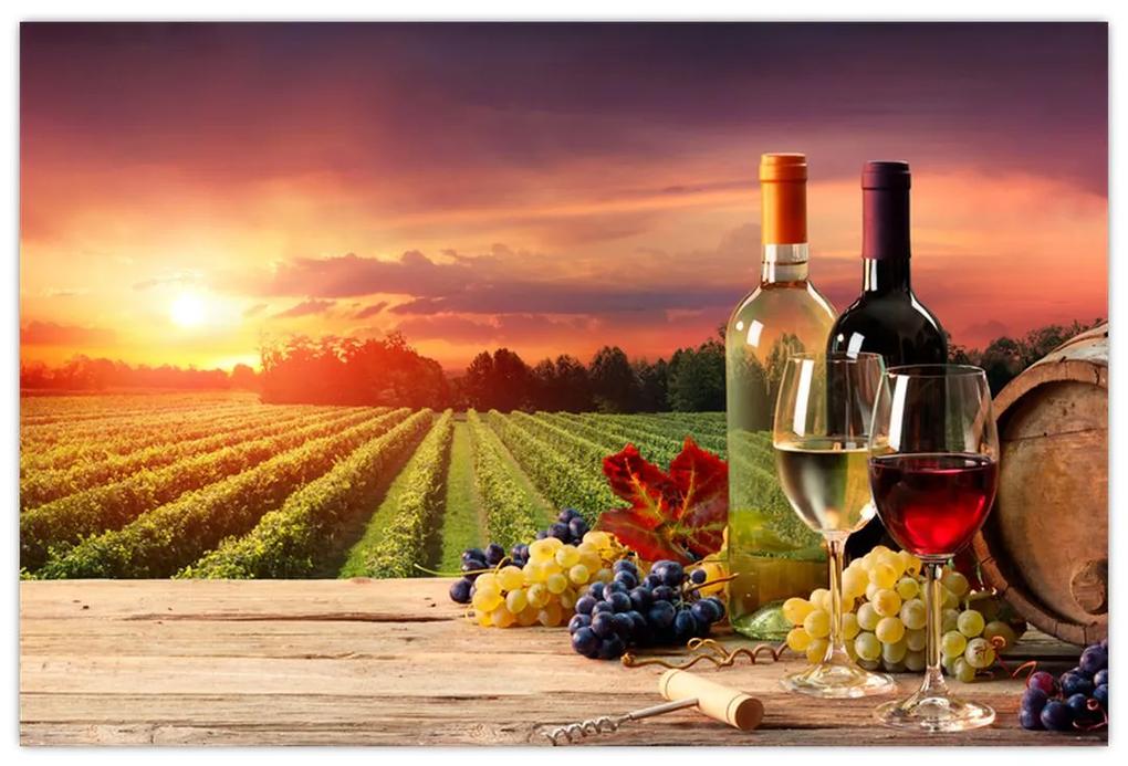 Obraz vinice s vínom (90x60 cm)