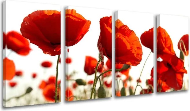 Obraz na stenu 4 dielny KVETY XOBKV118E41 - 80x40 cm
