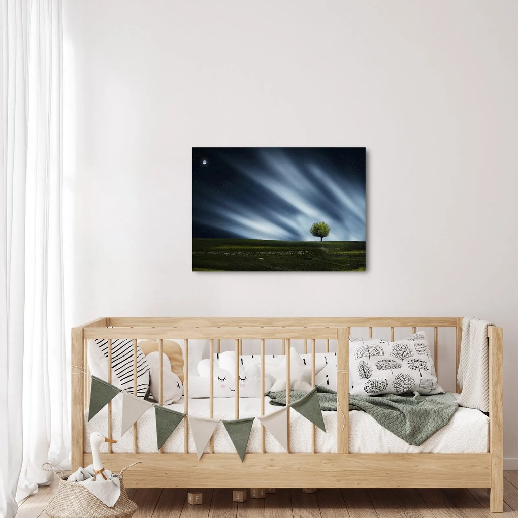 Obraz polárna žiara nad vresoviskom (70x50 cm)